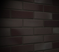 Клинкерная плитка Feldhaus Klinker R384NF14 galena cerasi ferrum, 240*14*71 мм, ок.48 шт./кв. м., 24
