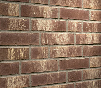 Клинкерная плитка Feldhaus Klinker R749NF14 vascu geo rotado, 240*14*71 мм, ок.48 шт./кв. м., 24 шт.