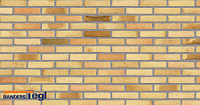 Плитка Randers Tegl RT 573 FUSION DNF 228X20X54 мм, 63 шт./м2, 0,46 кг/шт