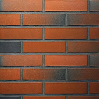 Кирпич Terca арт. 25101700 RED Flame гладкий FТТ, 250/85/65, 50 шт./м2