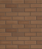 Roeben NF плитка Braun glatt, коричневый (braun), 240x9x71мм., 48 шт./м2, 24 шт./кор., 3240шт./подд.