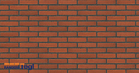 Плитка Randers Tegl RT 307 CLASSICA SF 250X20X62 мм, 55 шт./м2, 0,61 кг/шт