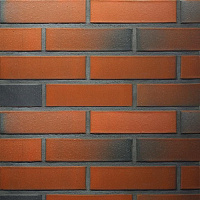 Кирпич Terca арт. 25101700 RED Flame гладкий FТТ, 250/85/65, 50 шт./м2