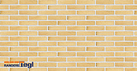 Плитка Randers Tegl RT 410 CLASSICA DNF 228X35X54 мм, 63 шт./м2, 0,75 кг/шт