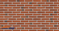 Плитка Randers Tegl RT 406 CLASSICA DNF 228X20X54 мм, 63 шт./м2, 0,46 кг/шт