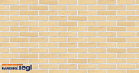 Плитка Randers Tegl RT 207 CLASSICA DNF 228X20X54 мм, 63 шт./м2, 0,43 кг/ш