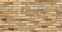 Плитка Randers Tegl RT 570 FUSION DNF  228X20X54 мм, 63 шт./м2, 0,46 кг/шт