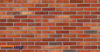 Плитка Randers Tegl RT 571 FUSION DNF 228X20X54 мм, 63 шт./м2, 0,46 кг/шт