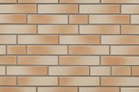 Плитка ABC-Klinker Piz Kesch glatt, 240х52х10мм, 64 шт/м2, 17 кг/м2, 48 шт/уп.